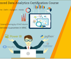 Data Analyst Course in Delhi, 110038. Best Online Live Data Analyst by IIT Faculty ,100% Job